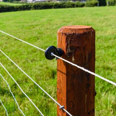 Fence line marking a property boundary used as a reference during a land surveyor site visit