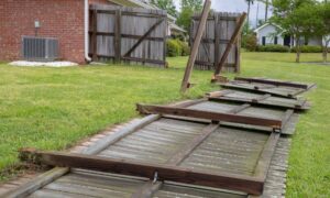 Storm-damaged fence panels lying on the ground in a backyard after strong winds, with the property boundary no longer clearly visible