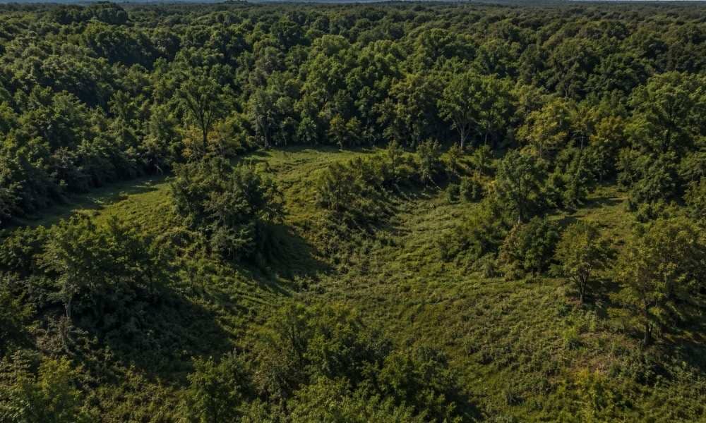 Aerial view of a wooded Indianapolis property where LiDAR mapping can reveal uneven terrain beneath dense vegetation